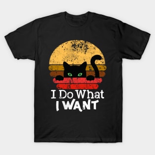 I Do What I Want Cat Vintage Kitty Lover Gift Funny Black Cat T-Shirt